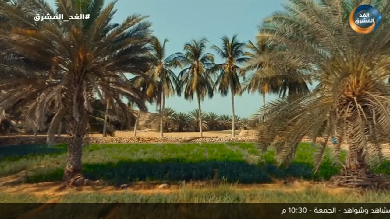مشاهد وشواهد | الديس الشرقية.. مدينة البحر والنخيل.. الحلقة الكاملة (6 أكتوبر)