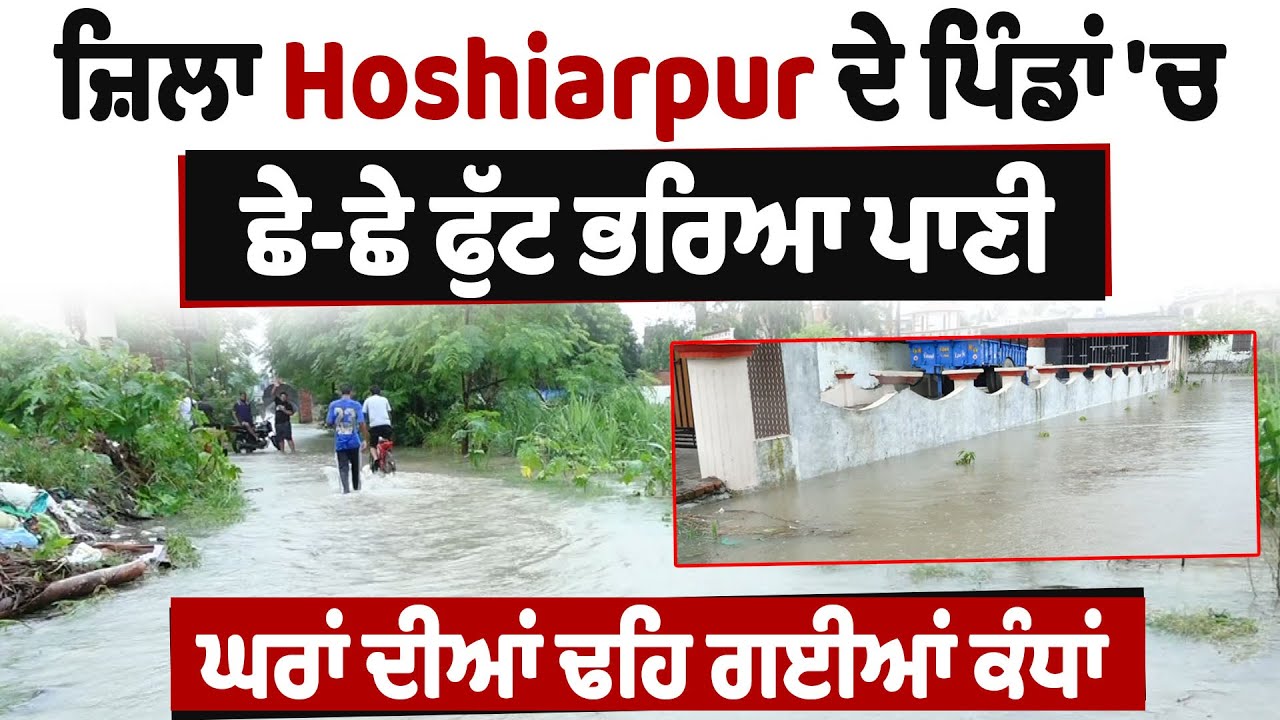 Hoshiarpur Flood | ਜ਼ਿਲਾ Hoshiarpur ਦੇ ਪਿੰਡਾਂ 'ਚ ਛੇ-ਛੇ ਫੁੱਟ ਭਰਿਆ ਪਾਣੀ, ਘਰਾਂ ਦੀਆਂ ਢਹਿ ਗਈਆਂ ਕੰਧਾਂ