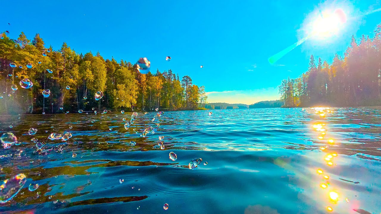 🛶💦Rowing on a Mirror Lake. The Sound of Silence: Only Oars and Water Splashing.