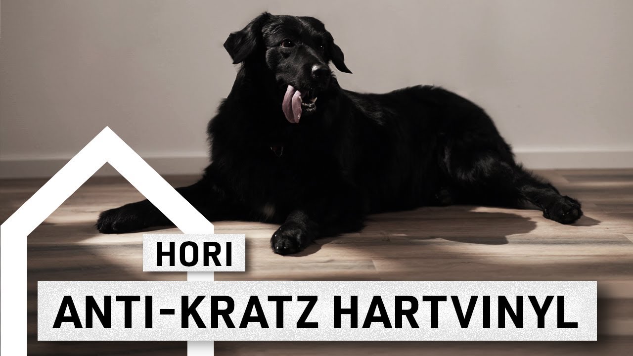 Wie kratzfest ist dieser Vinylboden? Der H&auml;rtetest | Infovideo casando