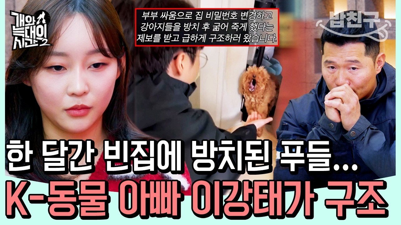[#밥친구] 물도 사료도 없이 한 달… 죽음의 문턱에 있던 토이푸들😭 K-동물 아빠 이강태의 긴급 구조 | #개와늑대의시간2 8회