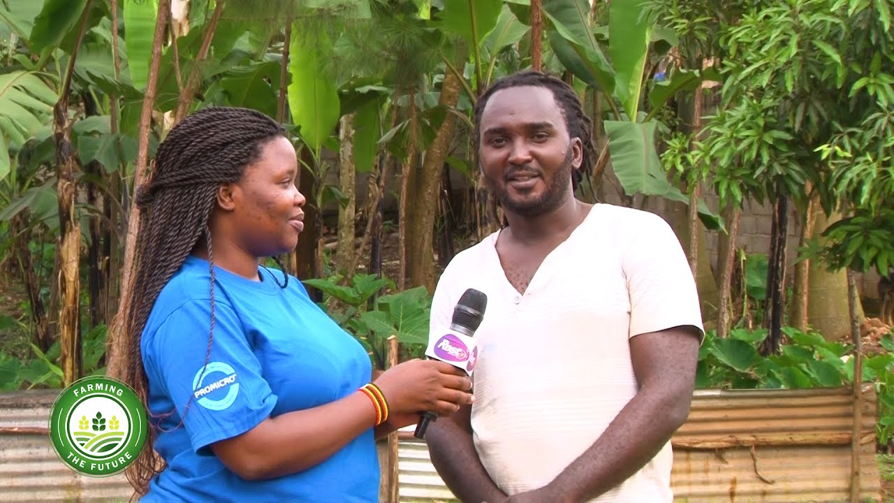 FISH FARMING.FARMING THE FUTURE
