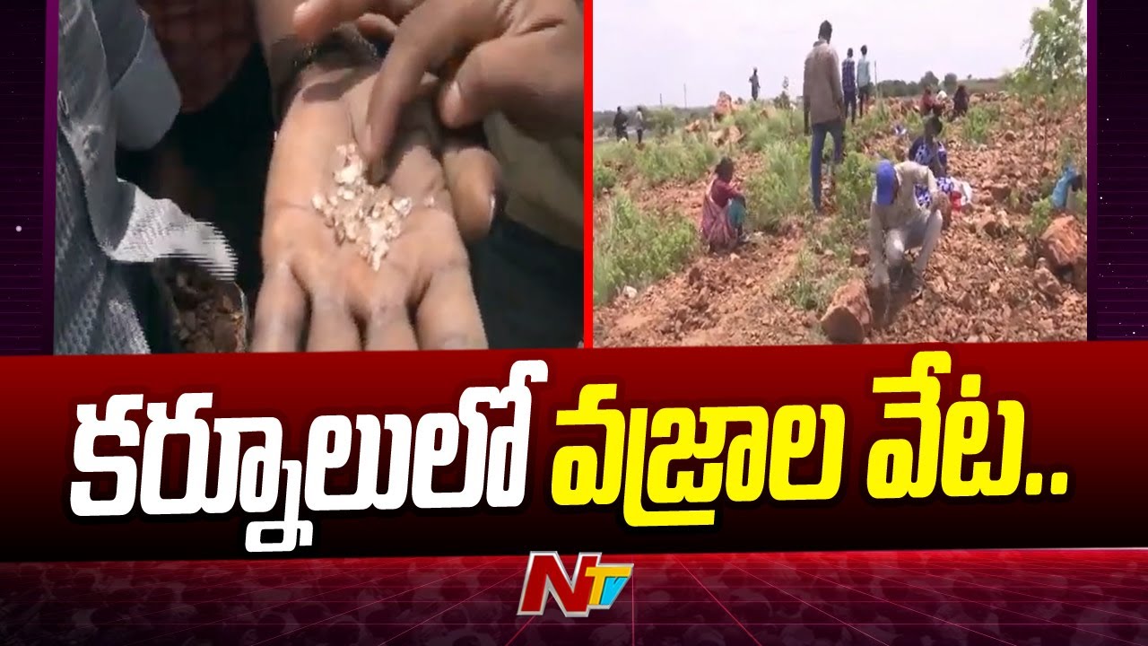 కర్నూలులో వజ్రాల వేట | Diamonds Hunt In Kurnool | Ntv