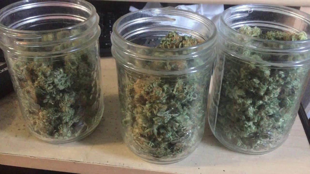 How to Cure Cannabis