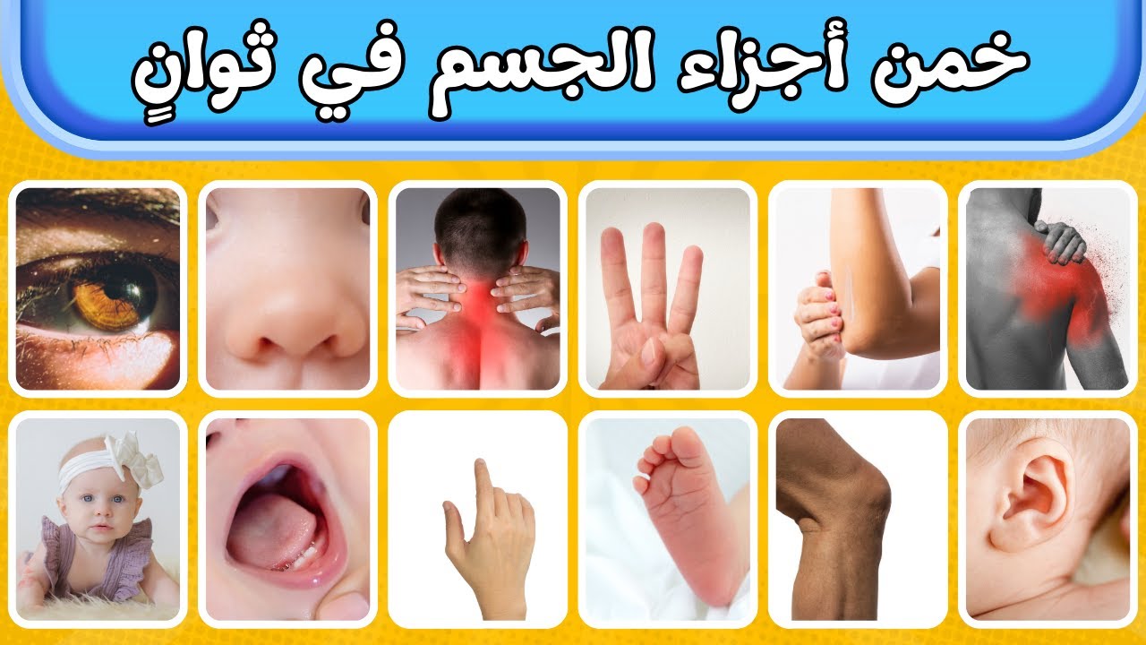 تحدي أجزاء الجسم للأطفال – هل تعرفهم جميعاً؟ 👃🖐️