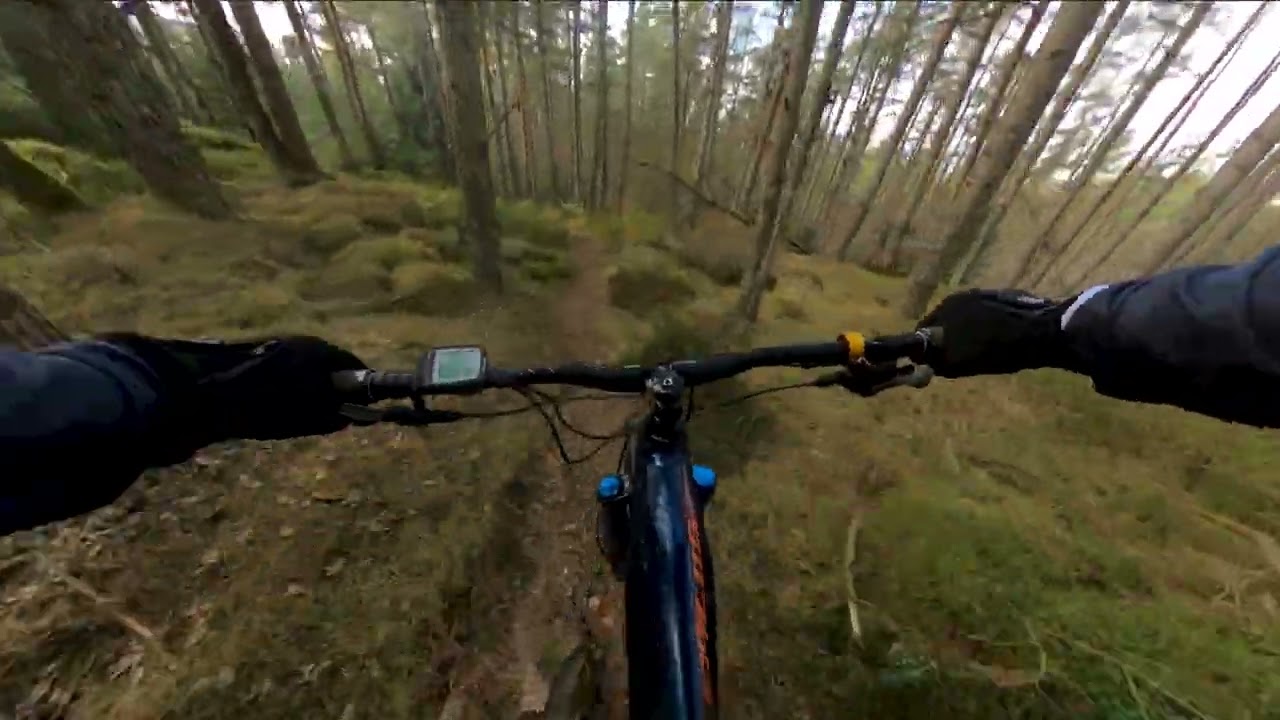 Mtb Trail Riding 