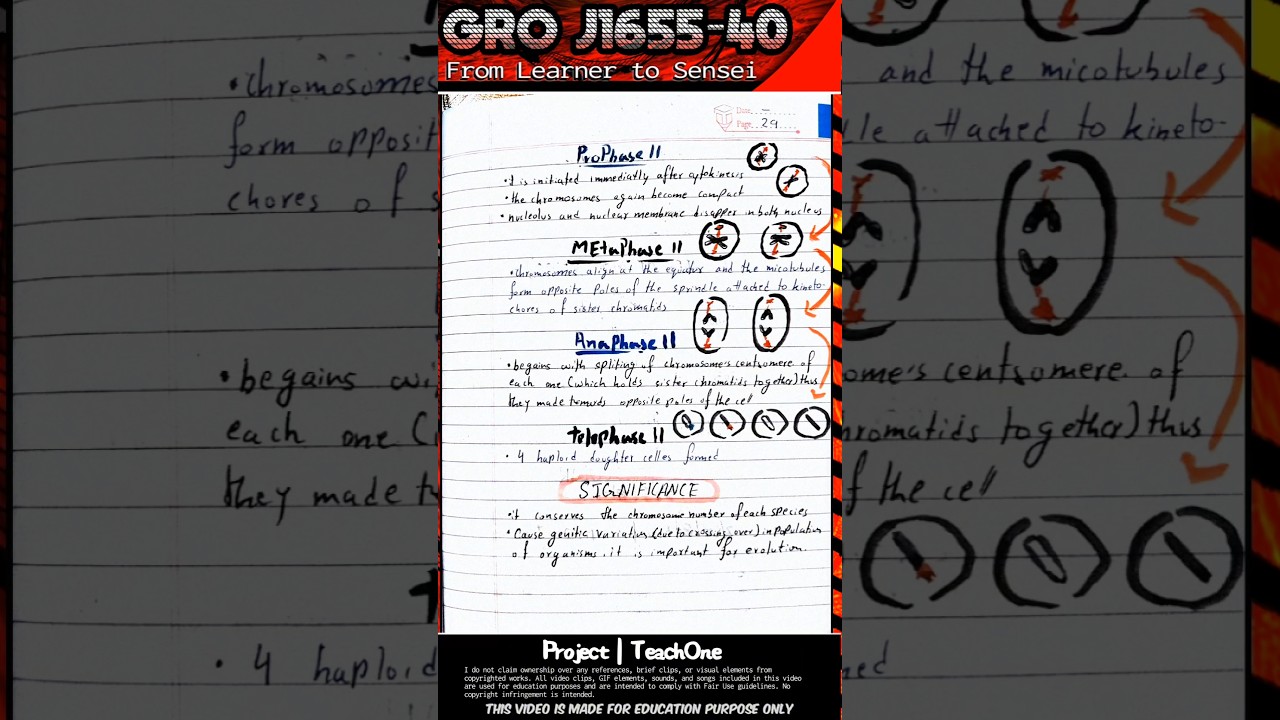 Cell Cycle and Cell Division | Class 11 Chapter 10 | Biology Handwritten Notes | NCERT • NEET