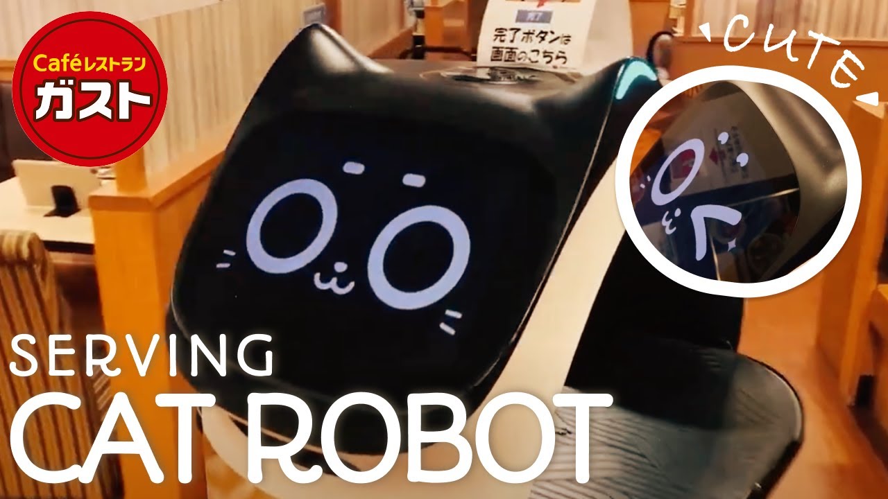 【猫型ロボvlog】I wanna see Serving robot in family restaurant 