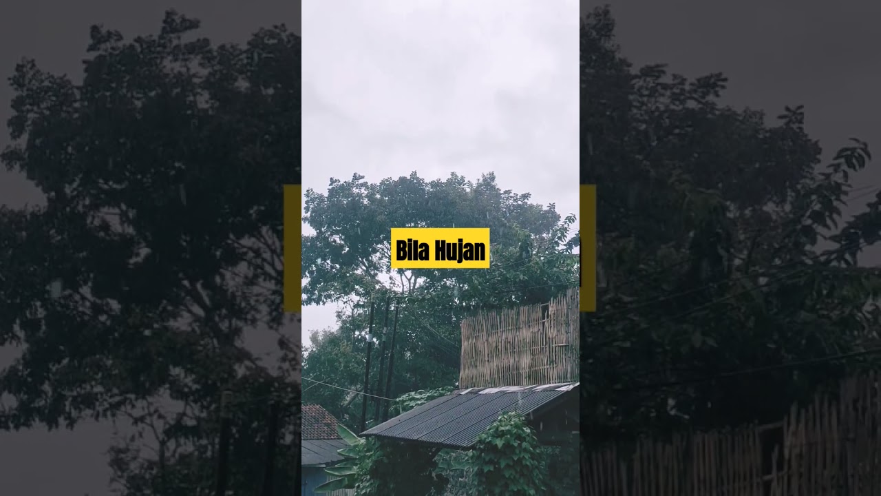 Bila hujan datang #suasanahujan #kampung