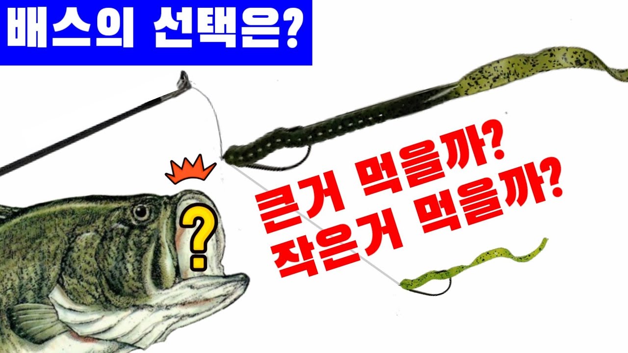 큰거 vs 작은거 !! 배스의 선택은?? 그리고 통발로 미끼용 블루길 잡기도전!!밸리보트 낙동강 배스낚시