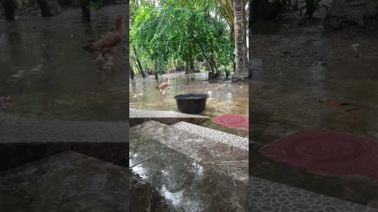 Hujan di Jumat pagi