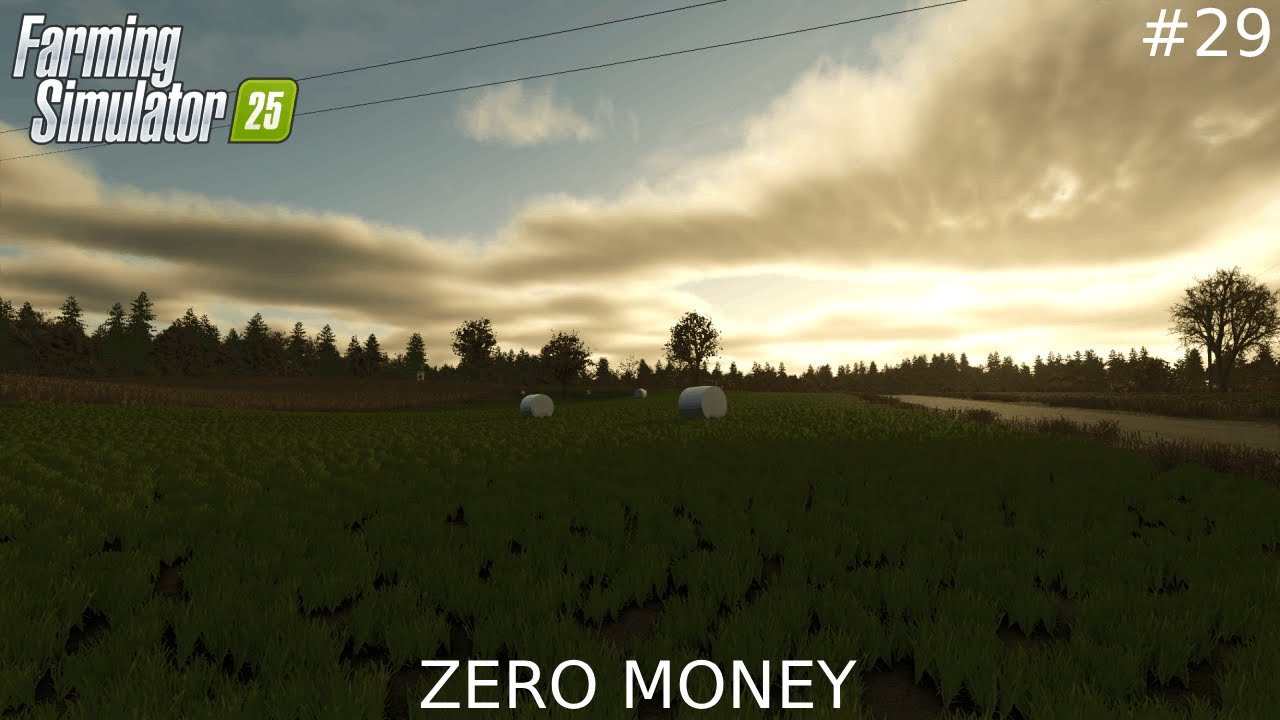 De laatste keer gras oogsten op de kleine boerderij | ZERO MONEY #29 | farming simulator