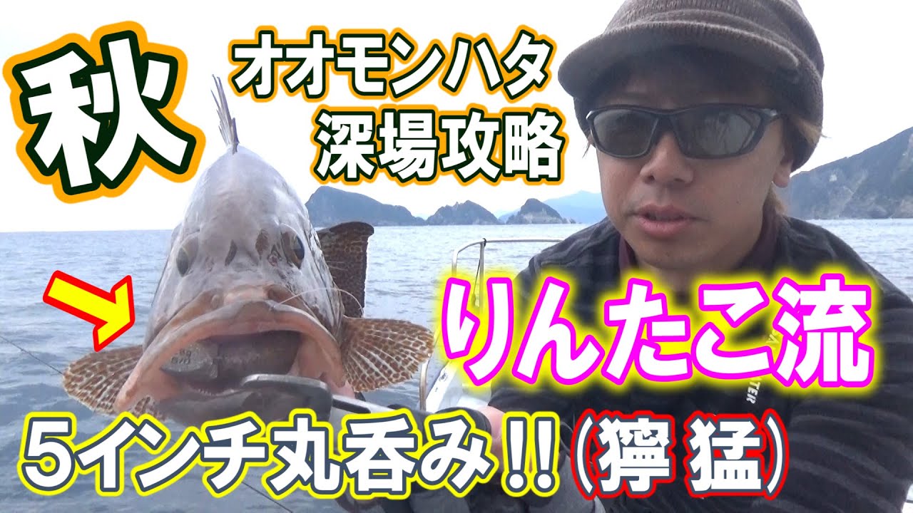 【爆釣】この角度が釣れる！秋のオオモンハタ深場攻略【大物】