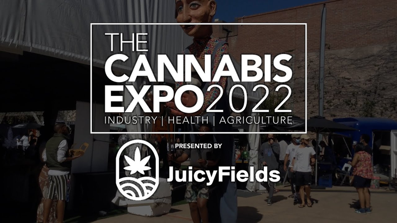 We attend the largest Cannabis Expo in Africa! - Cape Town CannaCruise 2022