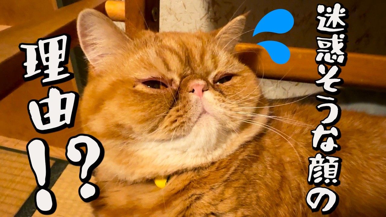 イラつくマー坊、そのワケは？