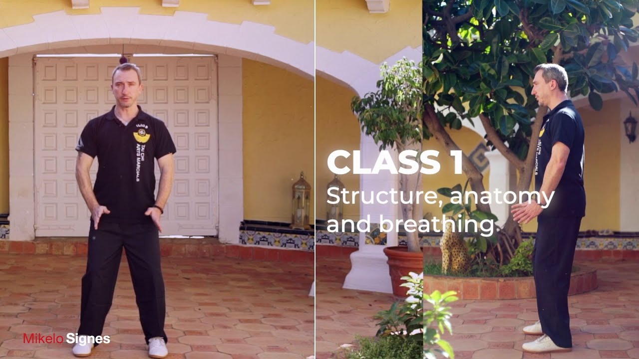 Tai Chi and Qi Gong. Internal Arts, Sifu Mikelo Signes On line. Entire course 29,99 &euro; .