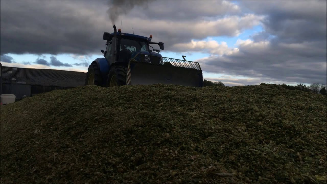 Ensilage Maïs 2015 - Silage - New holland sound - T7040 AC
