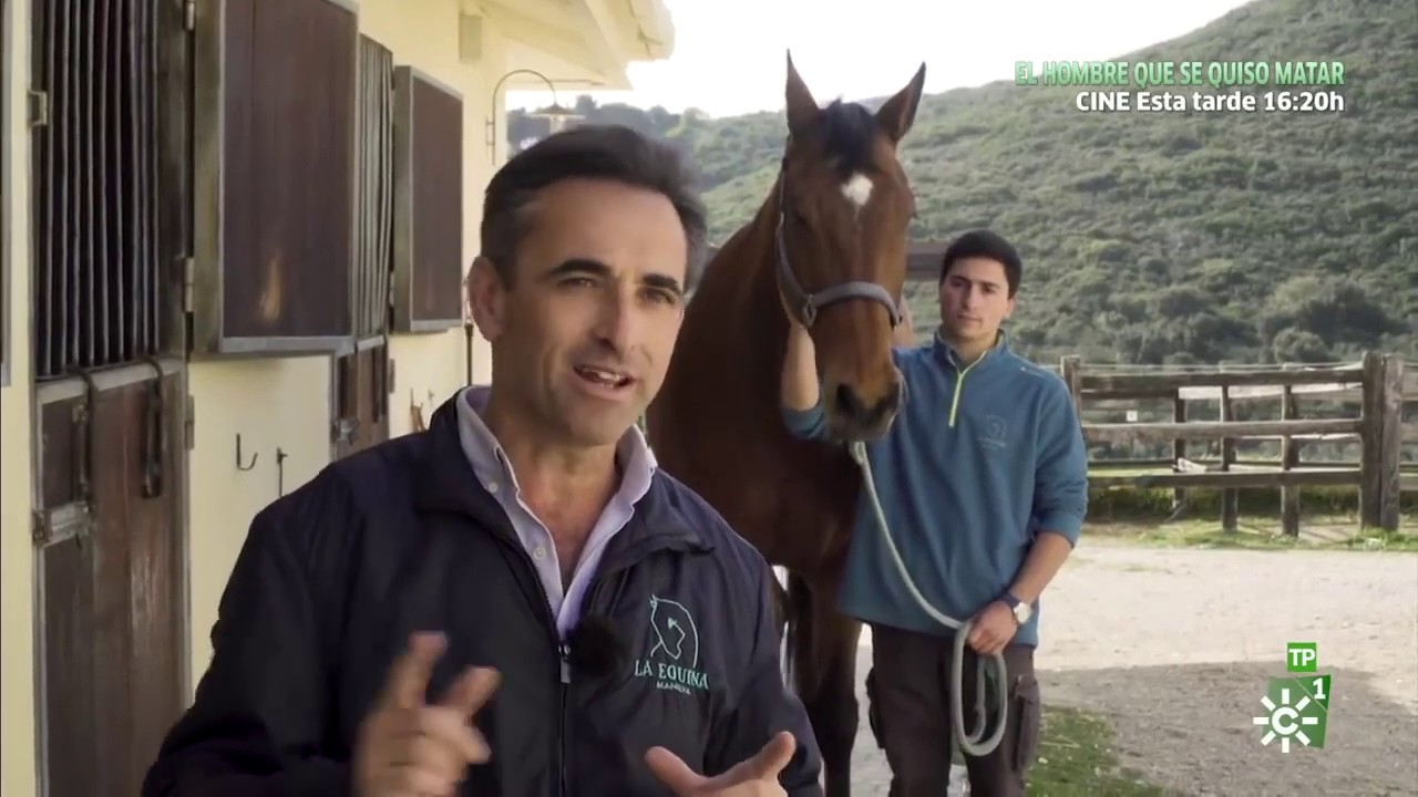 TodoCaballo (Canal Sur)- Cojera de posteriores del caballo con Miguel Valdés.