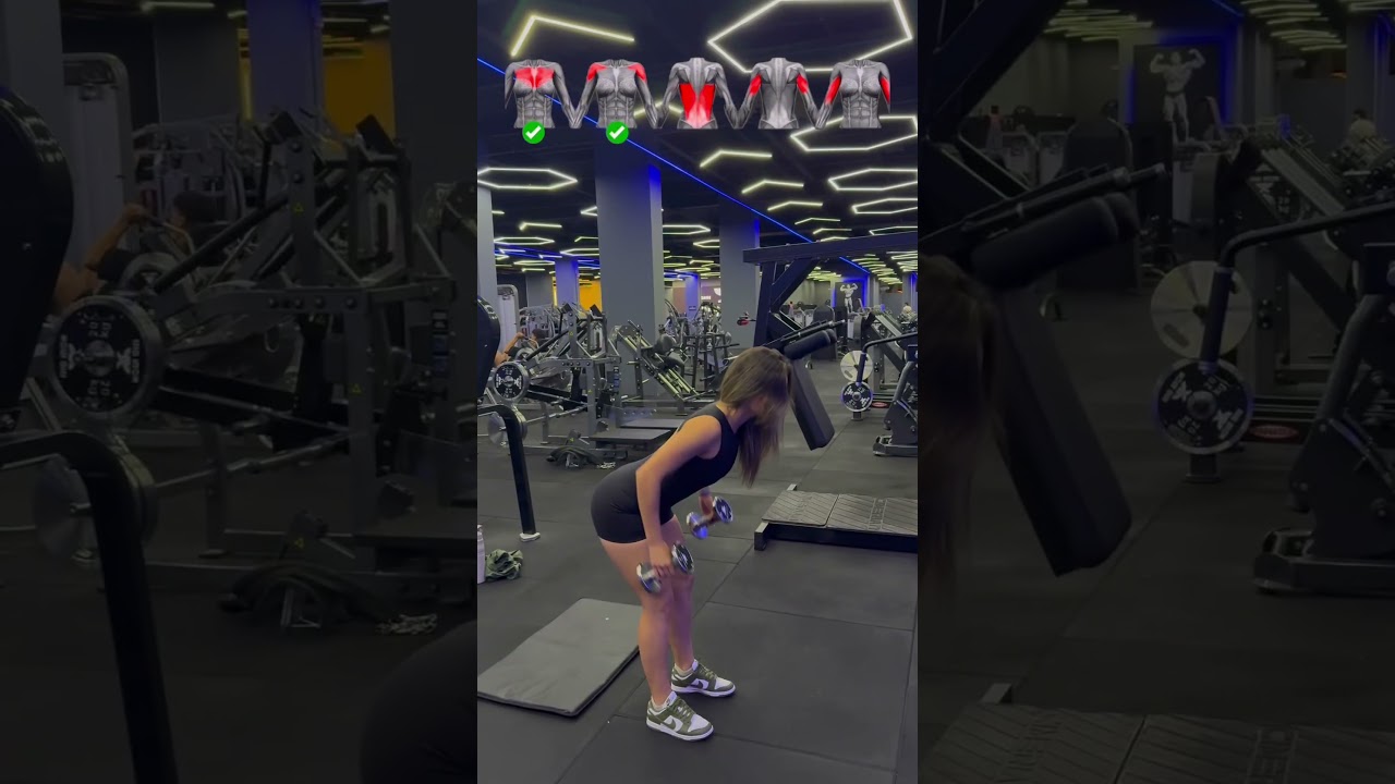 Exercícios de memb. Superior , utilizando apenas halteres. 