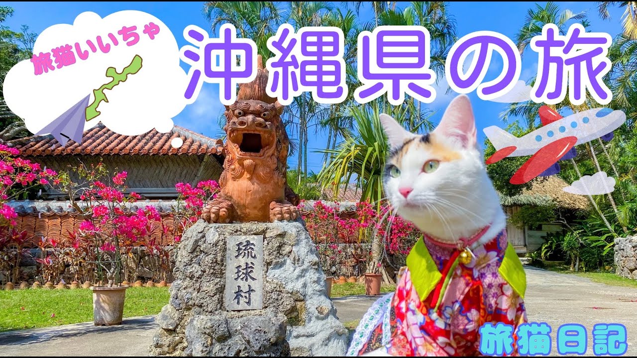 沖縄県（北部）の旅【旅猫いいちゃ♡】