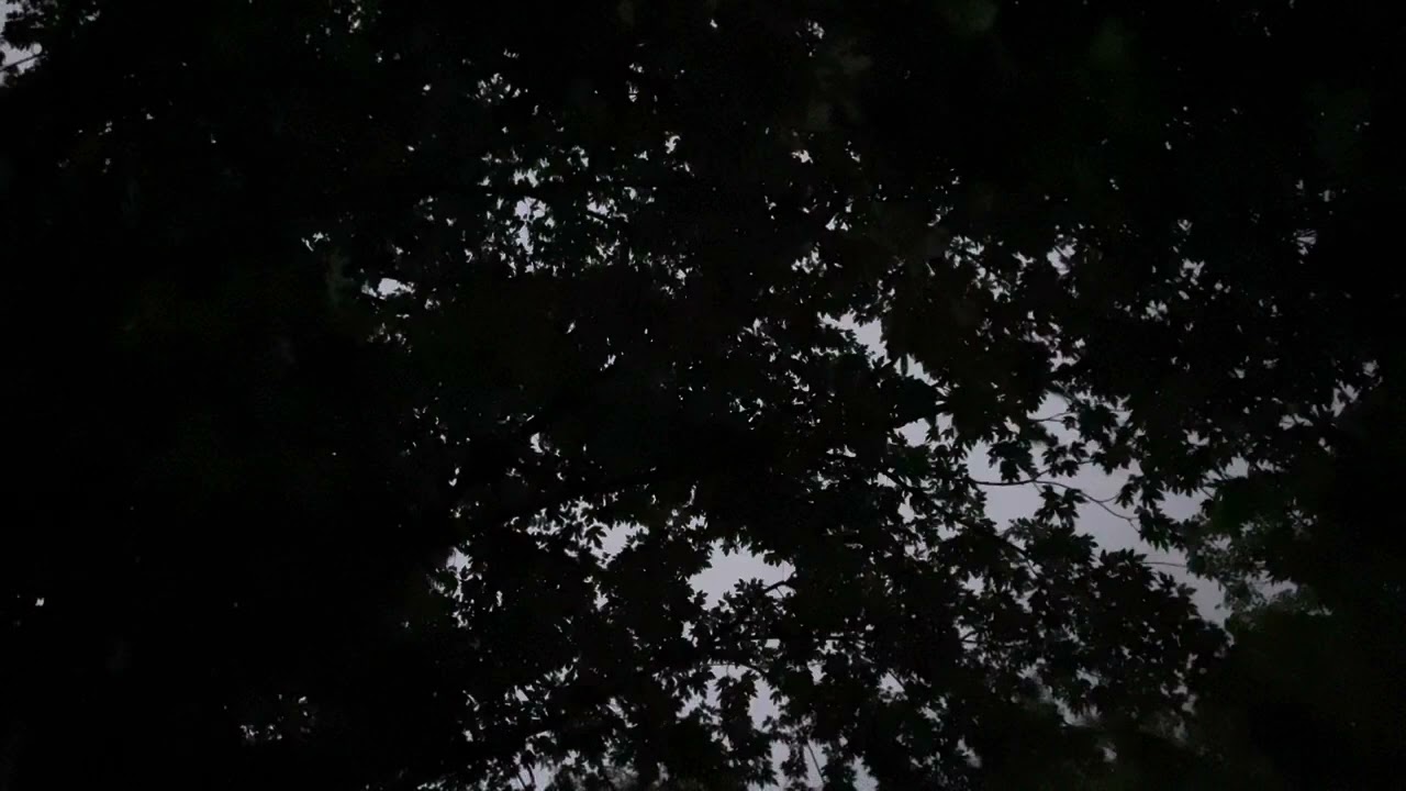 Noisy Thunderstorms In Troy, Illinois, A Lightning Barrage Begins, 7-26-2022