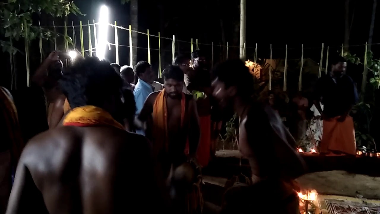 Maram kottu pattu