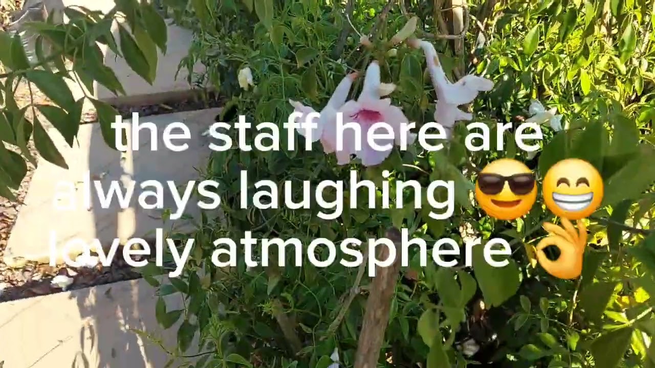 Orchid show (Highway Orchid Society) @ Blackwoods Nursery + nursery tour #orchid blooms#garden plant