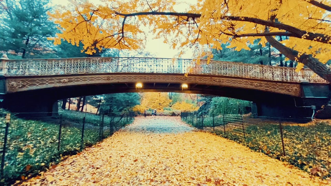 WALKING IN THE RAIN IN CENTRAL PARK IN MANHATTAN NEW YORK - NYC NATURE RAIN SOUNDS (ASMR)
