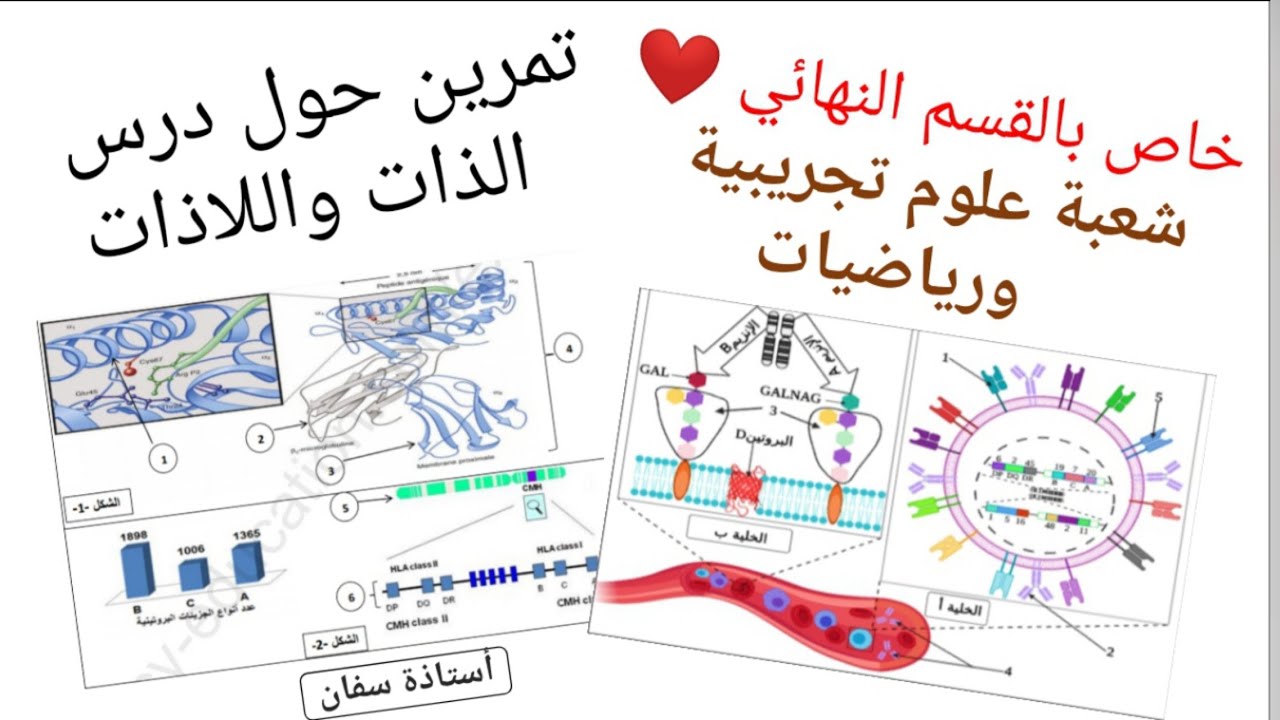 حل تمرينين استرجاع للمعارف🧐 حول درس الذات واللاذات 💕