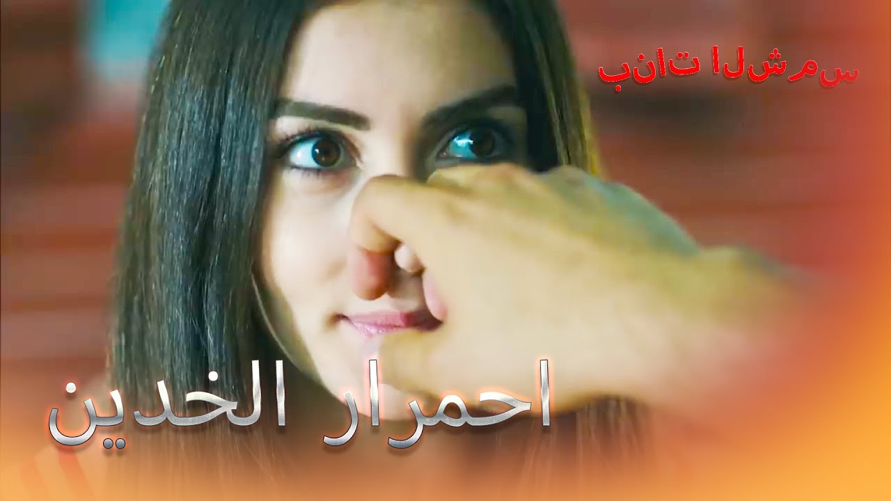 قرص أنفه بنات الشمس الجزء 7