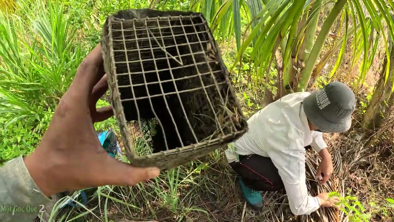 Cả nhóm bị con Rắn hổ mang doạ xanh mặt | MGQ2 #12