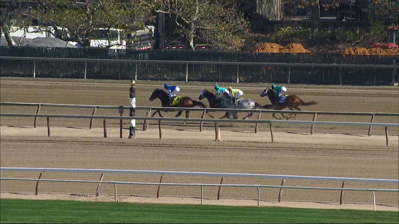 Hemsworth - 2016 Nashua Stakes En Espanol