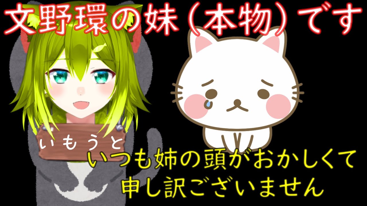 【10分でわかる】文野環の妹（本物）まとめ＋姉のかわいいシーン【にじさんじ/切り抜き】