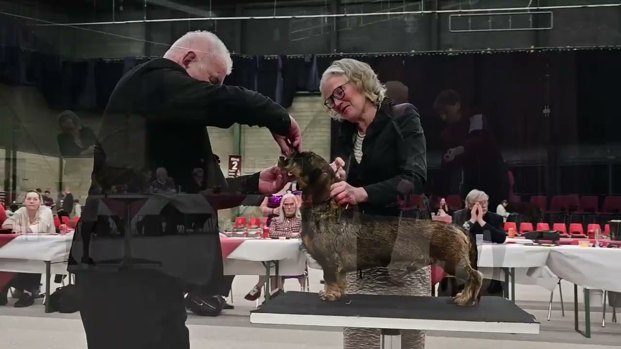 Ambiorix 2026 Best In Show