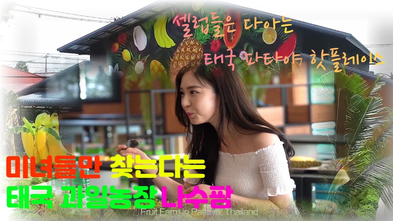 미녀들과 유명연예인들이 태국오면 무조건 찾는 태국 파타야 나수팜 과일농장 !! 그곳에 한번 가봤습니다!!