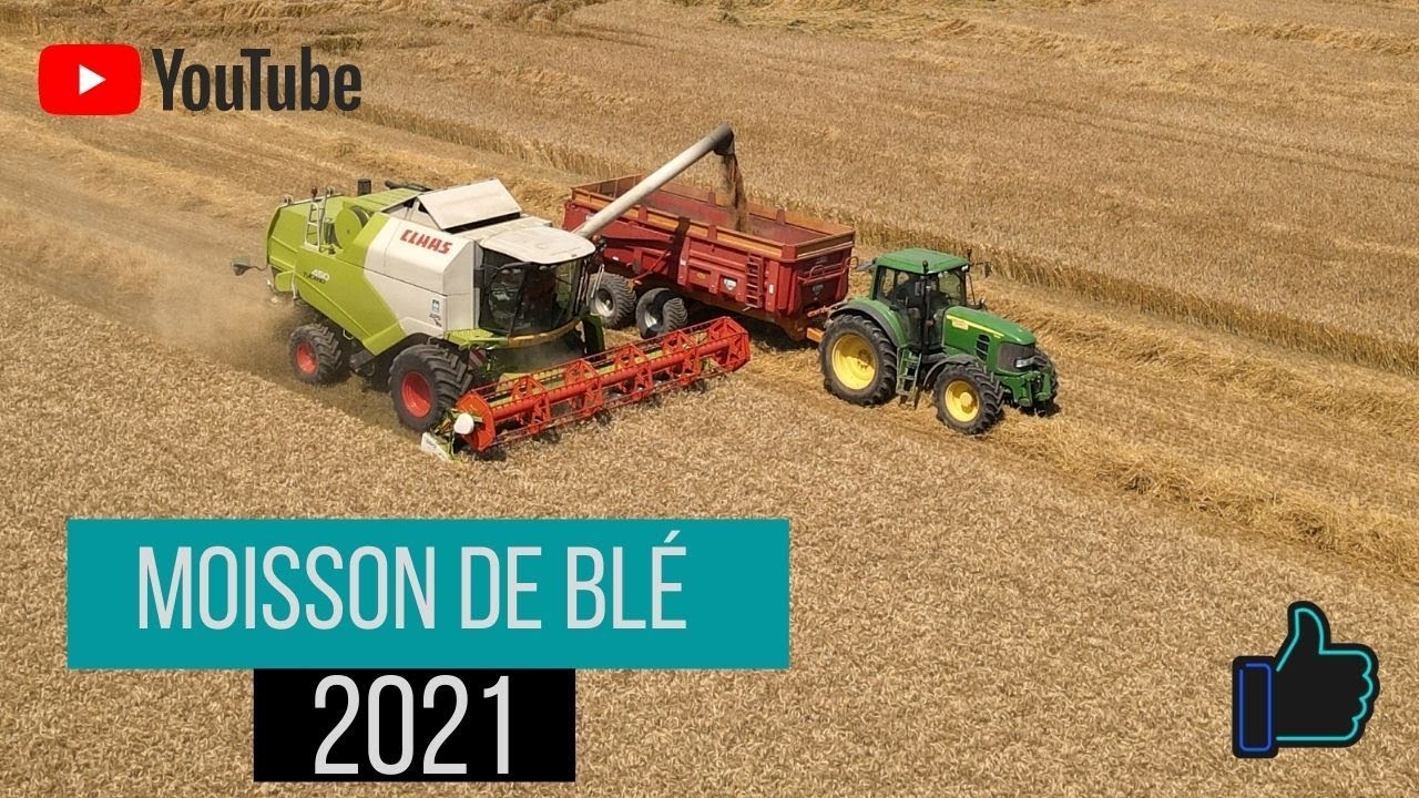 Moisson de blé 2021