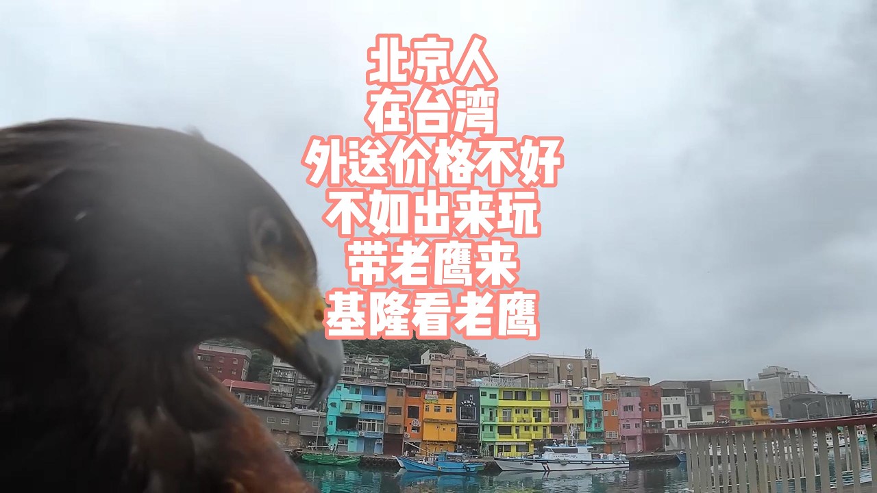 北京人在台湾外送价格不好不如出来玩带老鹰来基隆看老鹰