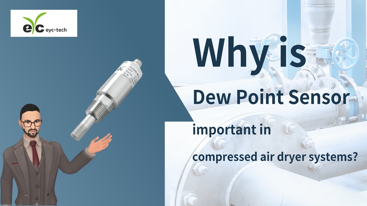 eyc-tech THS88MAX Dew Point Sensor Introduction