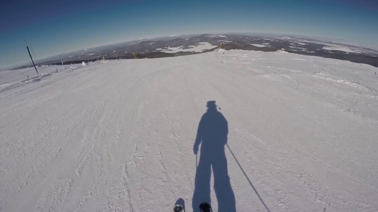 Dorukkaya Gezi (Orman) Pisti