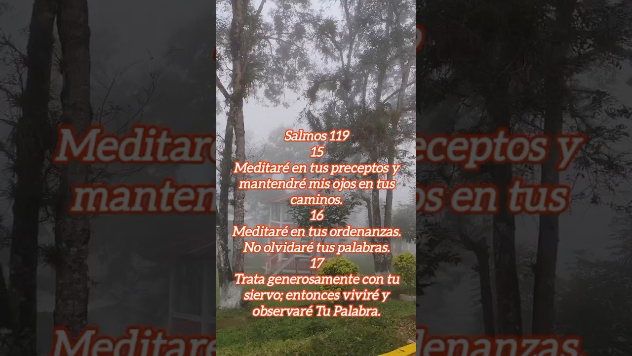 meditemos