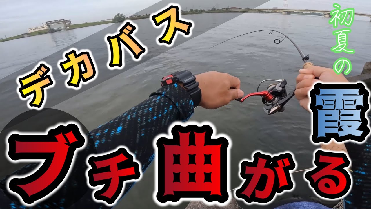 【バス釣り】【霞ヶ浦】初夏の北利根川_あのワームがまた好調!!