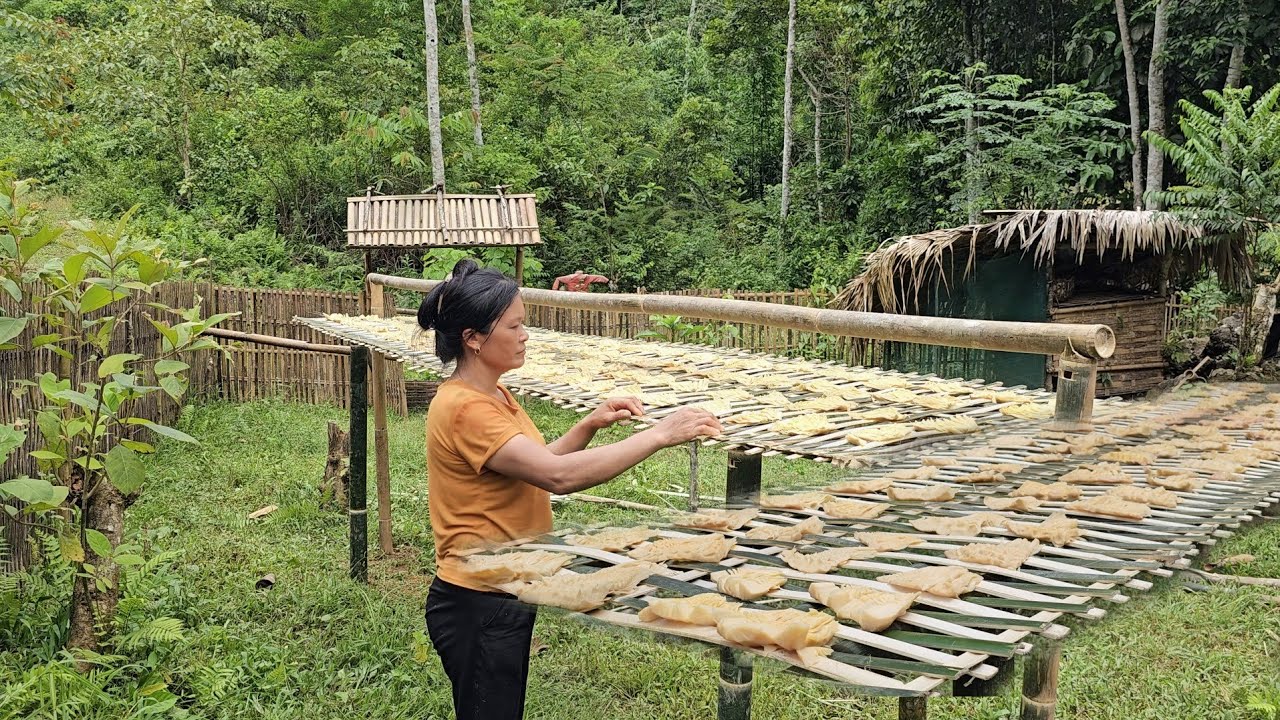 Harvest bamboo shoots in the forest on a lucky day - make and preserve bamboo shoots properly.