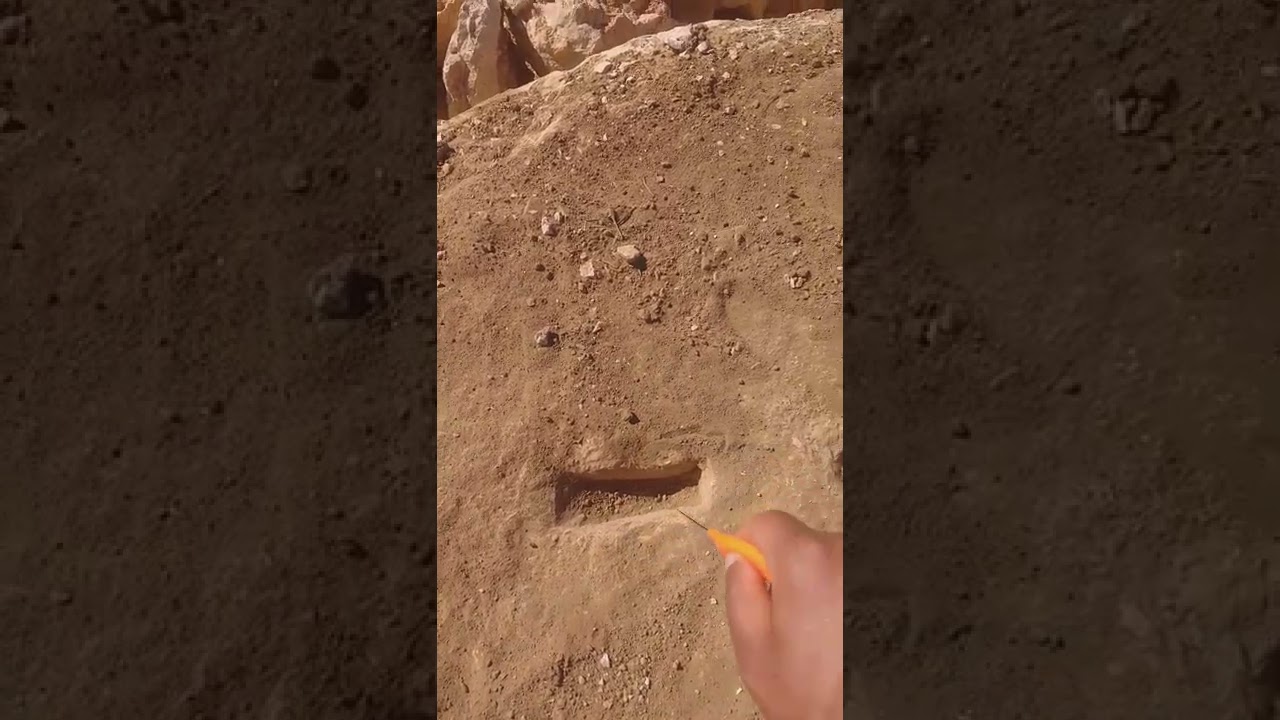 قبور داخل مدفن متوارث بحراسة👌✌.