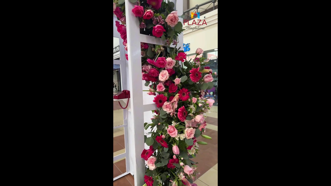 Floralia Festival en Plaza Magdalena
