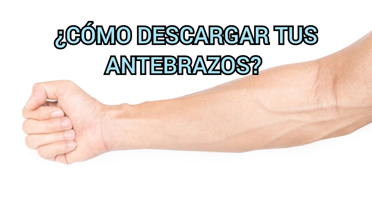 ¿Cómo descargar tus antebrazos? FACIL Y RAPIDO!