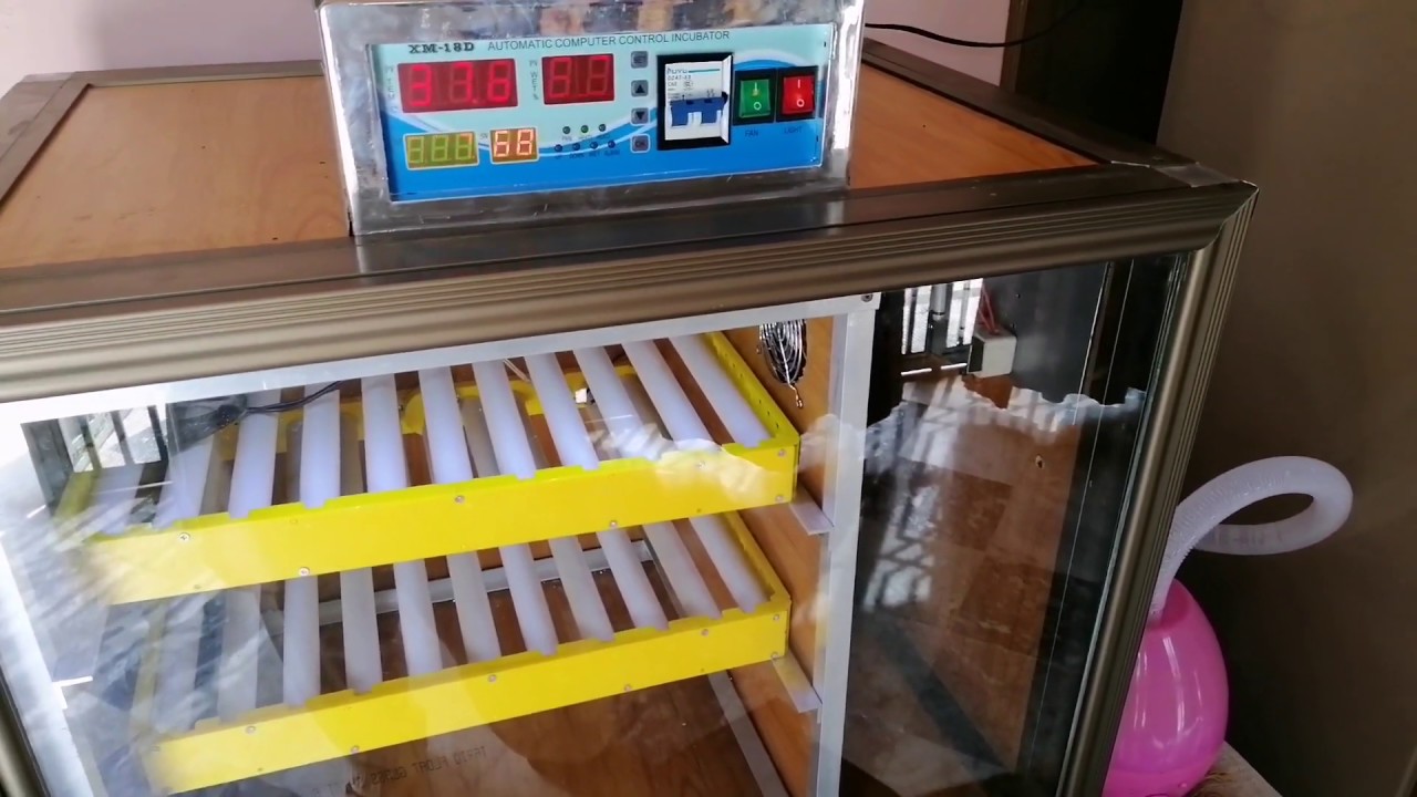 DIY home Made Eggs Incubator || Auto Rolling Eggs Incubator Humdifire Controlled 2019