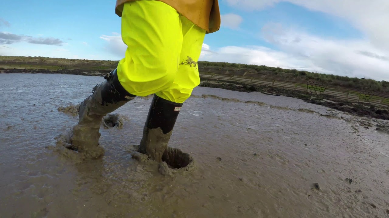 Hunter wellies explore the muddy River Roach estuary