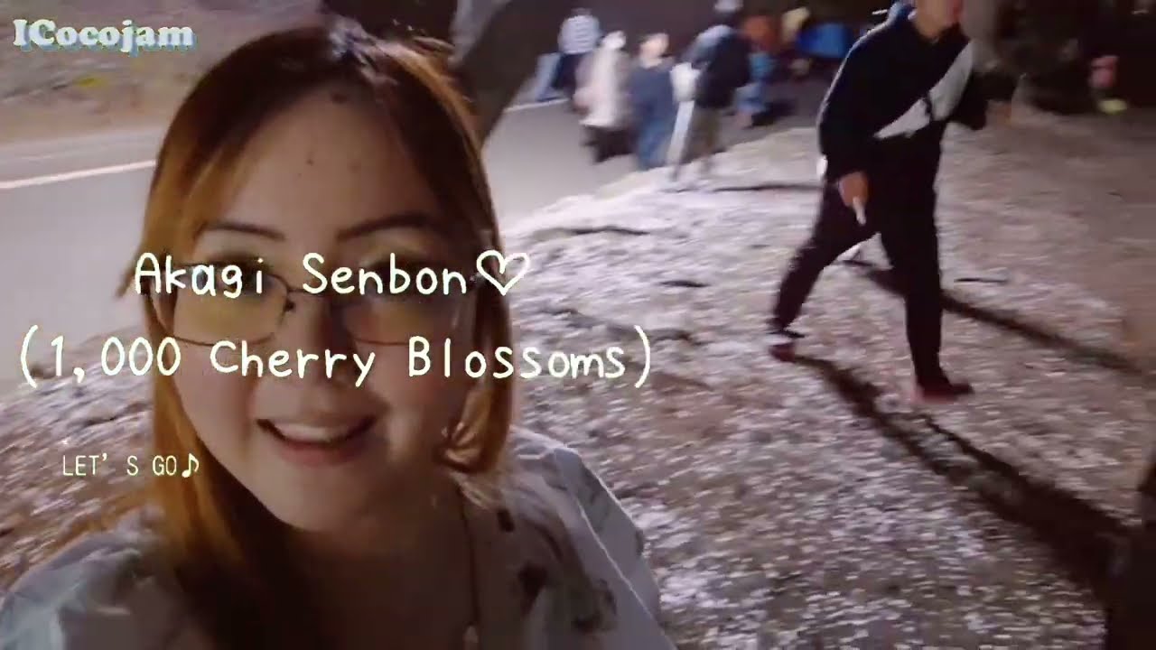 Traffic Jams to Mukbang | Moonlit Cherry Blossoms & Fire-Show