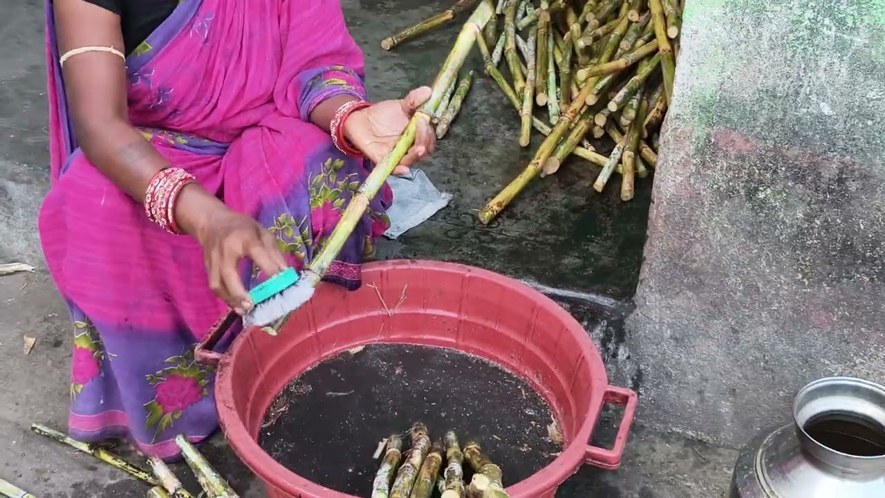 Sugar cane 