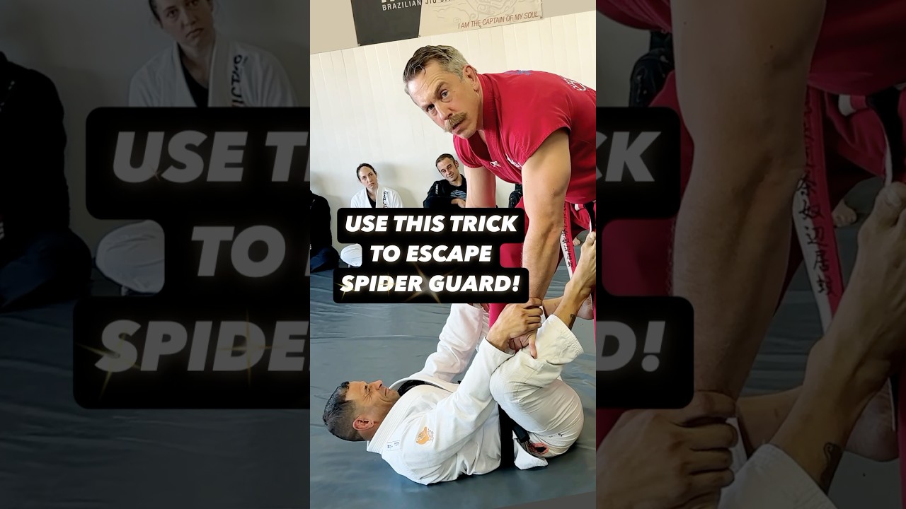 Защита от паука бесполезна! #masterken #bjj